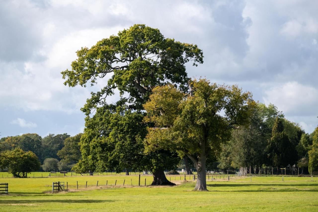 New Park Manor Hotel - A Luxury Family Hotel Brockenhurst Buitenkant foto
