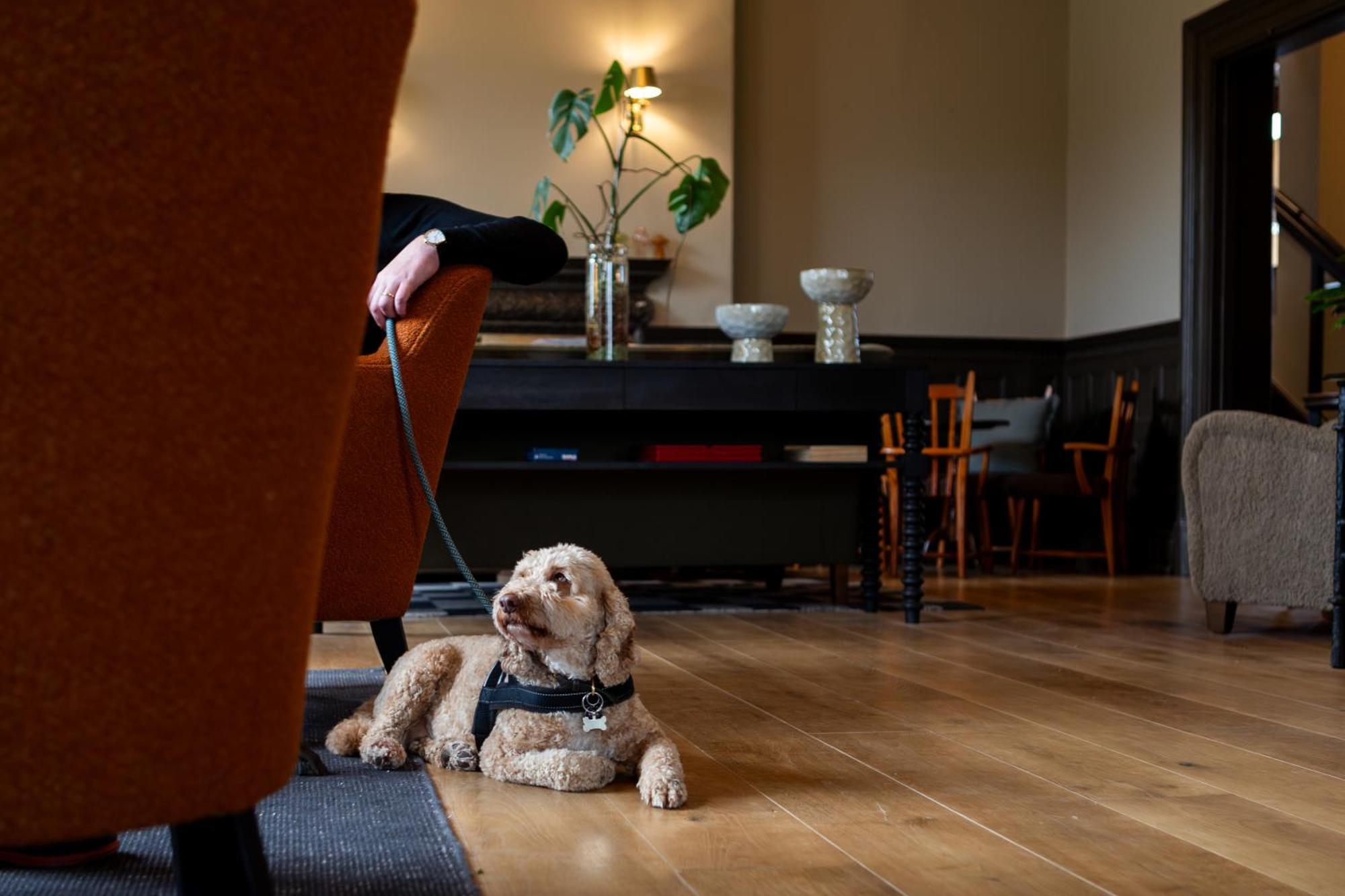 New Park Manor Hotel - A Luxury Family Hotel Brockenhurst Buitenkant foto